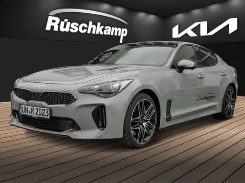 Used KIA STINGER Petrol 2023 Ad 