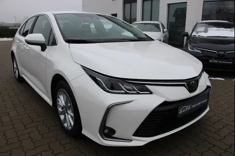 Used TOYOTA COROLLA Petrol 2021 Ad 