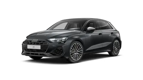 Annonce AUDI S3 Essence 2024 d'occasion 