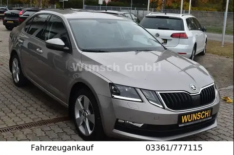 Annonce SKODA OCTAVIA Essence 2018 d'occasion 