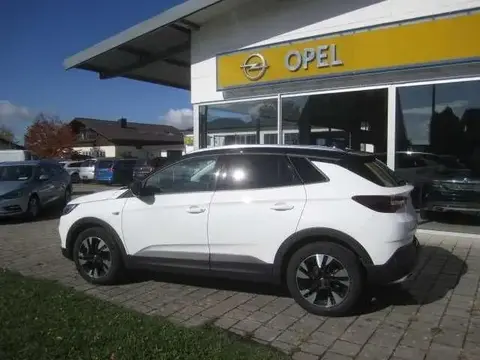 Used OPEL GRANDLAND Petrol 2021 Ad 