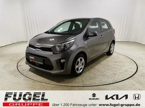 Used KIA PICANTO Petrol 2024 Ad 