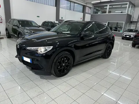 Used ALFA ROMEO STELVIO Diesel 2019 Ad 