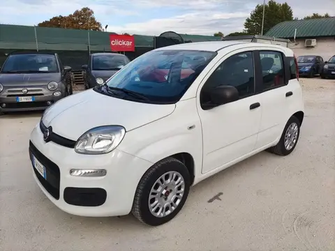 Used FIAT PANDA Petrol 2019 Ad 