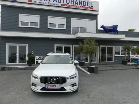 Annonce VOLVO XC60 Diesel 2019 d'occasion 