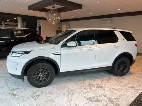 Used LAND ROVER DISCOVERY Hybrid 2020 Ad 