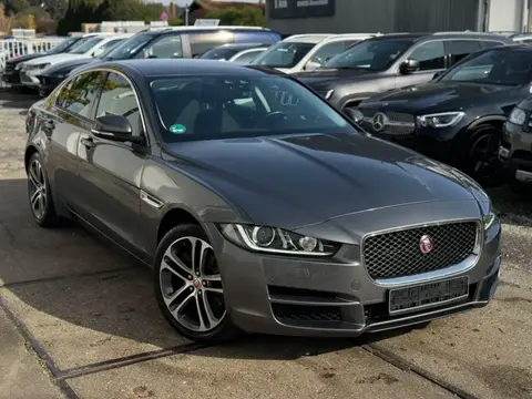 Used JAGUAR XE Diesel 2017 Ad 