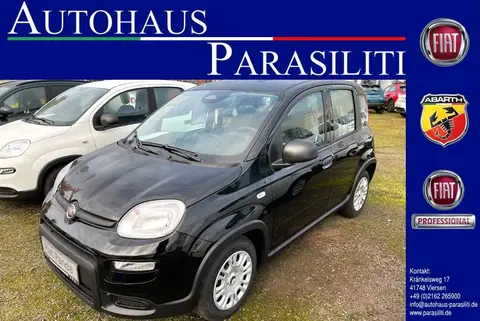 Used FIAT PANDA Petrol 2024 Ad 