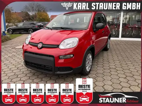 Used FIAT PANDA Hybrid 2024 Ad 