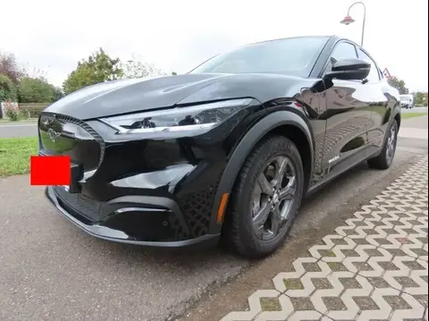 Used FORD MUSTANG Not specified 2021 Ad 