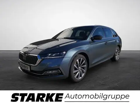 Used SKODA OCTAVIA Hybrid 2021 Ad 