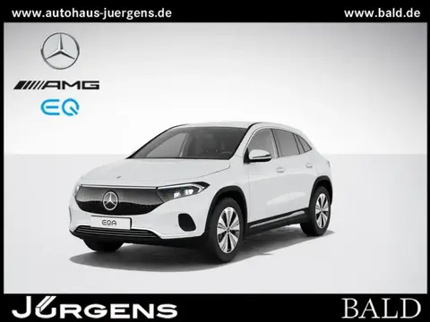 Used MERCEDES-BENZ EQA Not specified 2024 Ad 