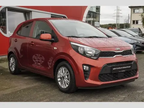 Annonce KIA PICANTO Essence 2021 d'occasion 