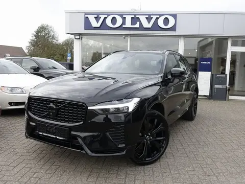 Annonce VOLVO XC60 Hybride 2024 d'occasion 