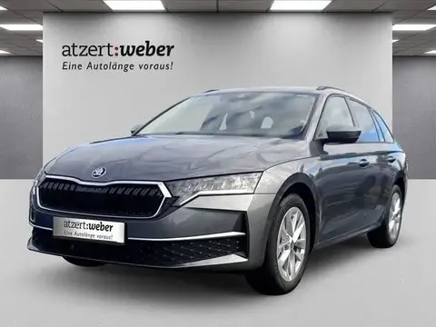 Used SKODA OCTAVIA Petrol 2024 Ad 