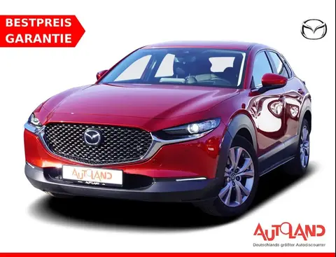 Annonce MAZDA CX-30 Essence 2021 d'occasion 