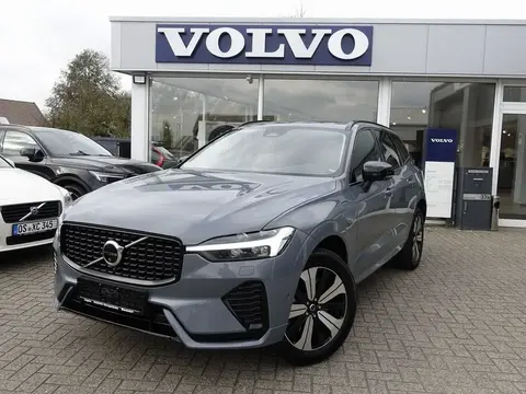 Annonce VOLVO XC60 Hybride 2024 d'occasion 