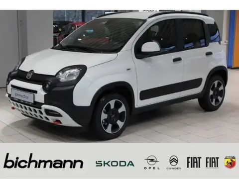 Used FIAT PANDA Petrol 2024 Ad 