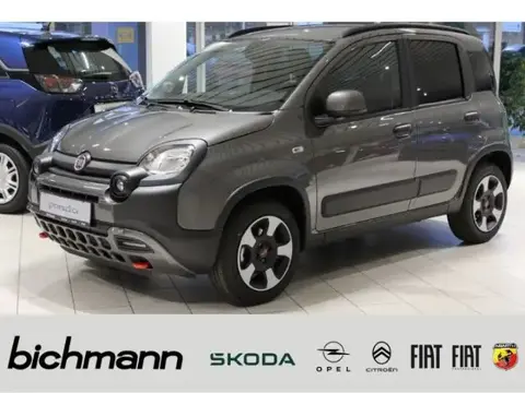 Used FIAT PANDA Petrol 2024 Ad 