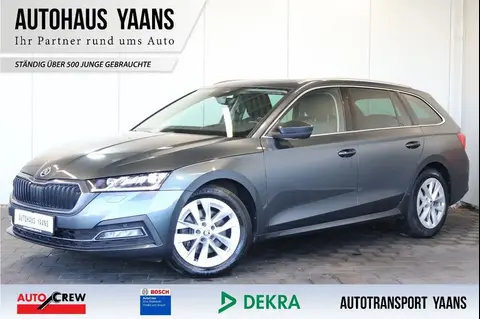 Used SKODA OCTAVIA Diesel 2020 Ad 