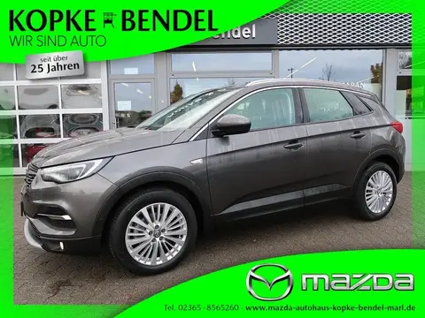 Used OPEL GRANDLAND Petrol 2019 Ad 