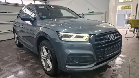 Used AUDI Q5 Diesel 2019 Ad 