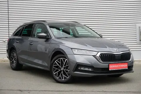 Used SKODA OCTAVIA Petrol 2022 Ad 