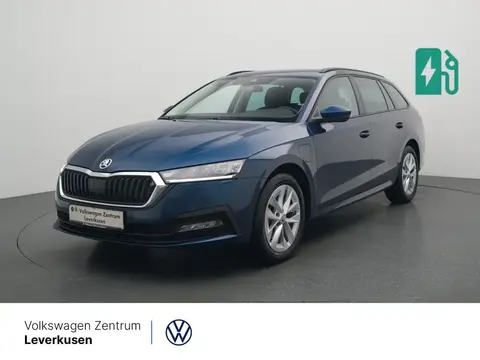 Used SKODA OCTAVIA Hybrid 2022 Ad 