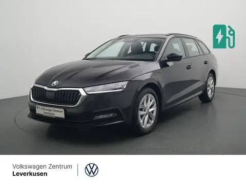 Used SKODA OCTAVIA Hybrid 2022 Ad 