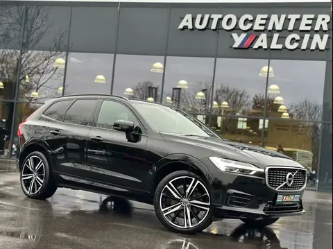 Annonce VOLVO XC60 Diesel 2019 d'occasion 