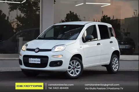 Annonce FIAT PANDA Essence 2019 d'occasion 