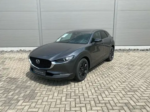 Annonce MAZDA CX-3 Essence 2024 d'occasion 