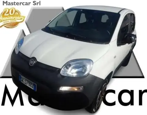 Used FIAT PANDA Petrol 2022 Ad 