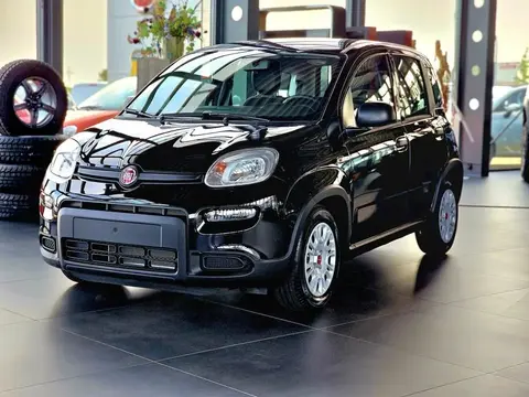 Annonce FIAT PANDA Essence 2024 d'occasion 