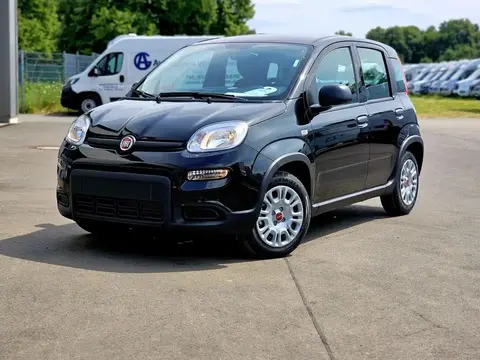 Used FIAT PANDA Petrol 2024 Ad 