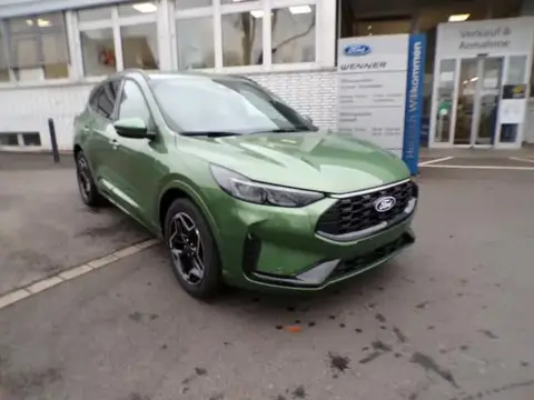 Used FORD KUGA Petrol 2024 Ad 