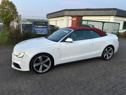 Used AUDI A5 Diesel 2016 Ad 