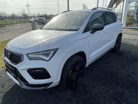 Used CUPRA ATECA Petrol 2023 Ad 