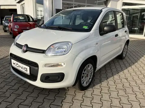 Annonce FIAT PANDA Essence 2021 d'occasion 