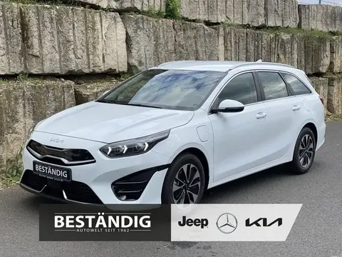 Annonce KIA CEED Hybride 2024 d'occasion 