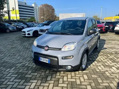 Used FIAT PANDA Hybrid 2022 Ad 