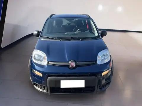 Used FIAT PANDA Hybrid 2021 Ad 