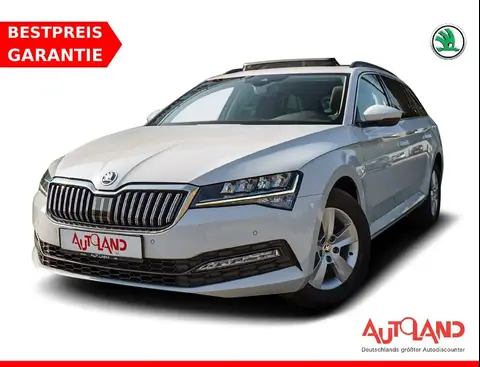 Annonce SKODA SUPERB Diesel 2019 d'occasion 