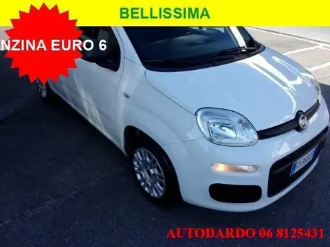 Used FIAT PANDA Petrol 2019 Ad 