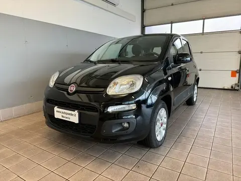 Annonce FIAT PANDA Essence 2021 d'occasion 