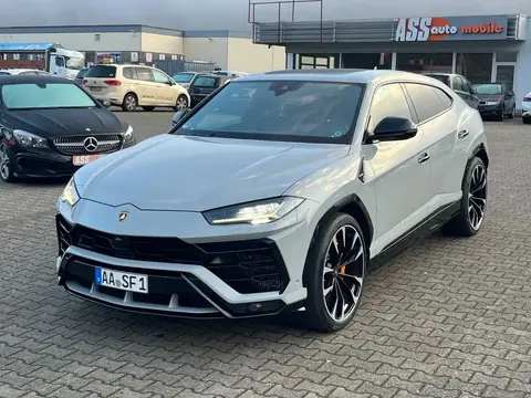 Annonce LAMBORGHINI URUS Essence 2019 d'occasion 