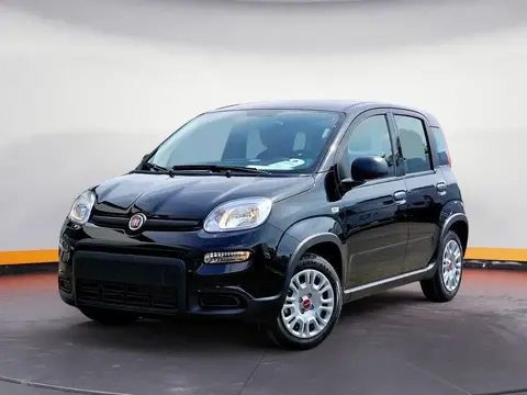 Annonce FIAT PANDA Essence 2024 d'occasion 