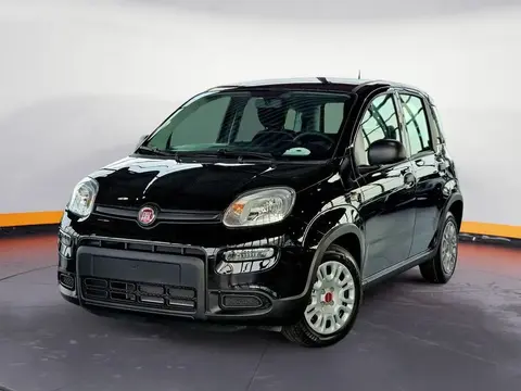 Annonce FIAT PANDA Essence 2024 d'occasion 