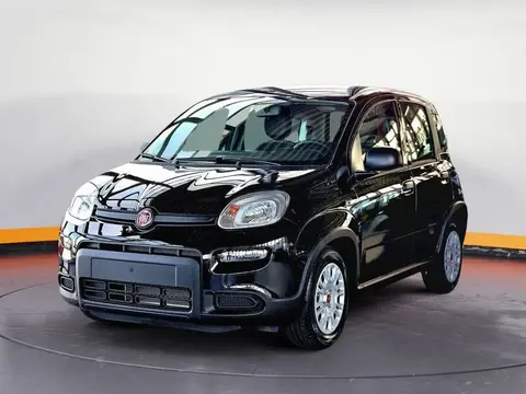 Annonce FIAT PANDA Essence 2024 d'occasion 