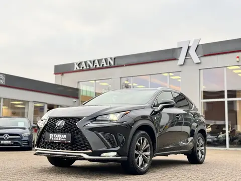 Annonce LEXUS NX Hybride 2018 d'occasion 